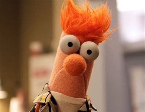 Log In or Sign Up | Beaker muppets, Muppets, The muppet show