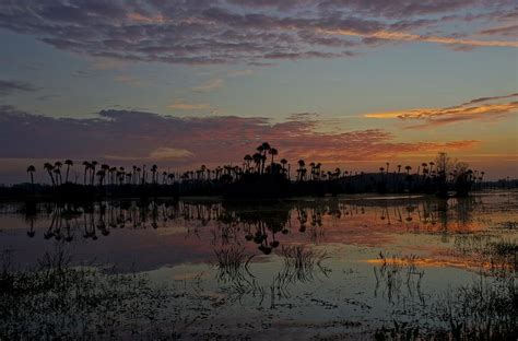 Orlando Wetlands Sunrise Photograph by Brian Kamprath - Fine Art America