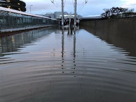 Edinburgh flooding in pictures: photos show extent of disruption as heavy rain and snowmelt ...