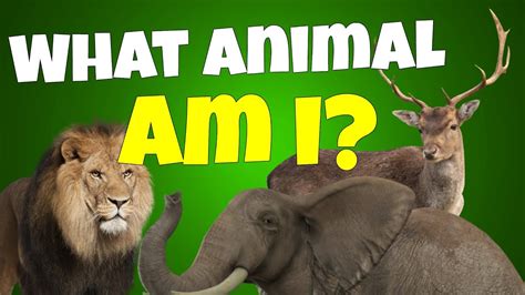 WHAT ANIMAL AM I QUIZ - YouTube