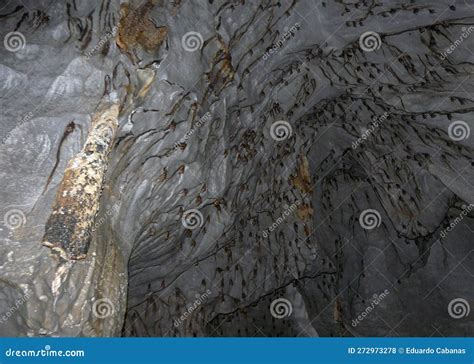 Flying Foxes in the St. Paul Subterranean River, Palawan, Philippines ...