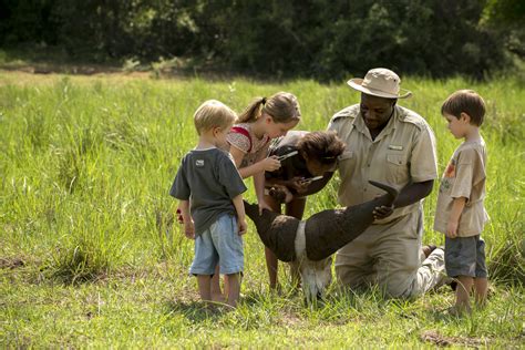 Safaris in Africa: An Unforgettable Family Adventure - Safari Ventures