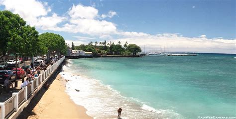 lahaina beaches | Lahaina beaches, Maui vacation rentals, Maui ...