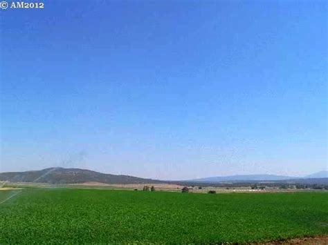 Bonanza, Oregon: they grow alfalfa around Bonanza so most of the conversation is about hay and ...