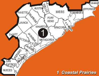 Map Of Texas Gulf Coast Region – Map Vector