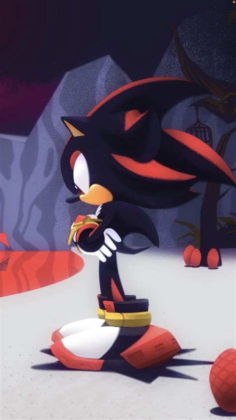 Sonic and Shadow Playing