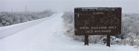 Snow is falling in Houston, TX, last measurable snow there was 8 years ...