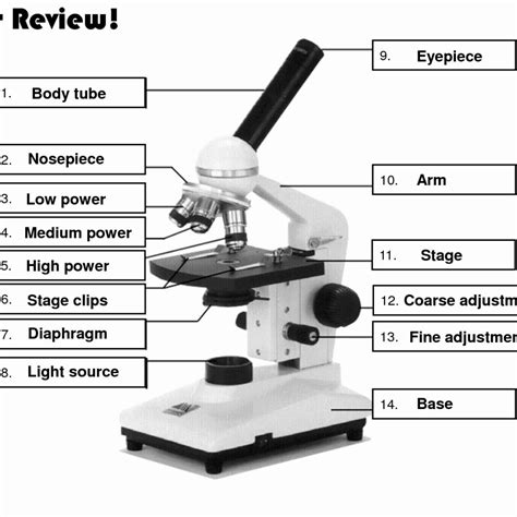 Parts Of Microscope Worksheets