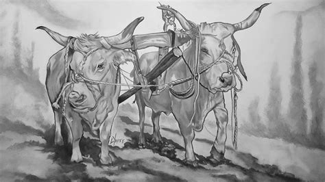 Two Oxen on a Yoke in Black and White Painting by Loraine Yaffe - Fine ...