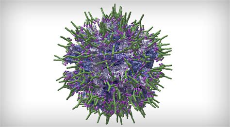 Development of immune complex vaccines against Gumboro disease.