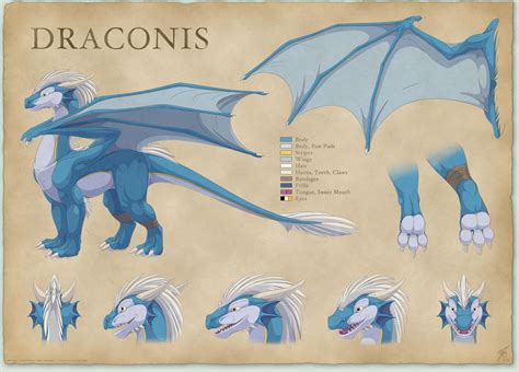 Draconis Reference Sheet by thazumi on DeviantArt