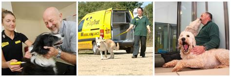 Dogs Trust charity - Hands On Payroll Giving