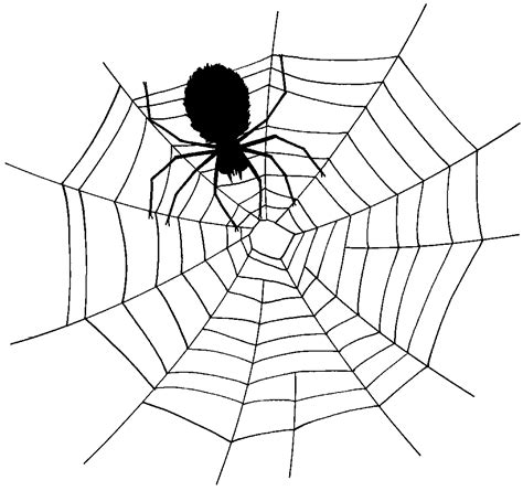 Free Spider Web Clipart 3 Pictures - Clipartix