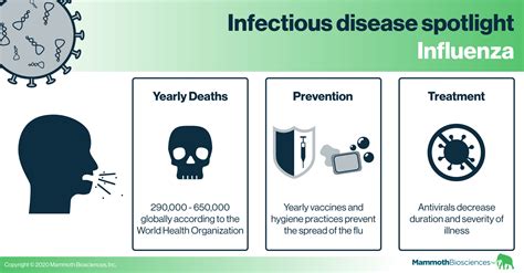 Infectious disease spotlight: Influenza - Mammoth Biosciences