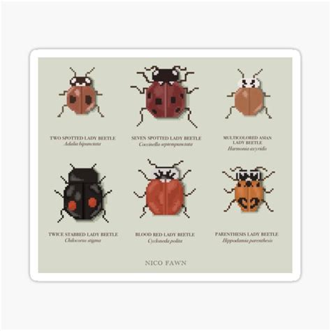 "Pixel Ladybug Chart" Sticker by nicofawnart | Redbubble