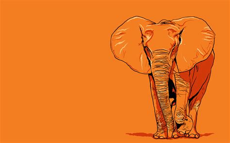 Orange Elephant | Namaha