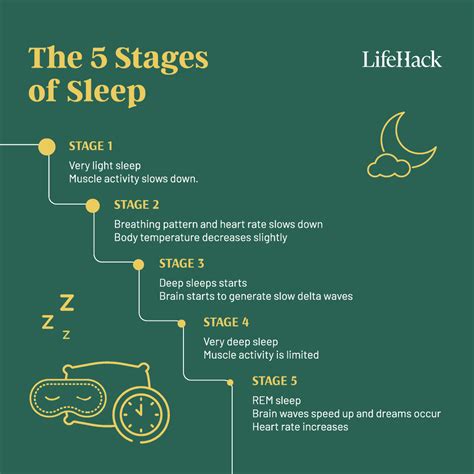 The Importance of Sleep Cycles (and Tips to Improve Yours) - LifeHack