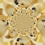 Doge Meme Generator - Imgflip