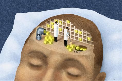 How sleep shapes what we remember—and forget | PNAS