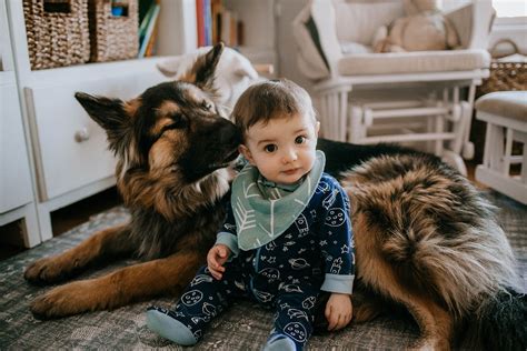 8 Tried and true ways to photograph babies and pets together