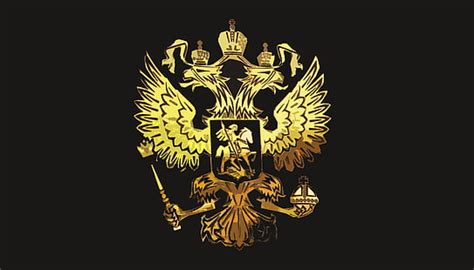 HD wallpaper: gold-colored SPQR emblem, background, leather, symbol, Empire | Wallpaper Flare