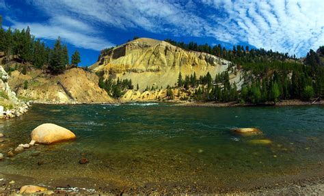 Free yellowstone national park river landscape trees - Image