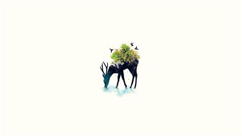 Minimalist Animal Wallpapers - Top Free Minimalist Animal Backgrounds ...