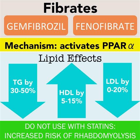 Fenofibrate Mechanism Of Action - slideshare