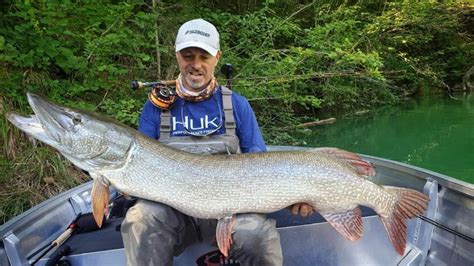 World Record Pike Caught in Italy - Flylords Mag