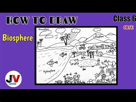 Biosphere drawing| how to draw biosphere|biosphere diagram - YouTube