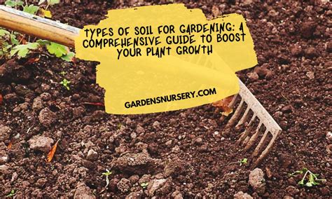 Types Of Soil For Gardening: A Comprehensive Guide