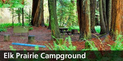 14 Best Places for Camping near Redwood National Park – Trips To Discover