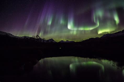 Aurora season is on! | Wandering Educators