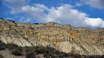 Fossils & Geology - Fossil Butte National Monument (U.S. National Park Service)