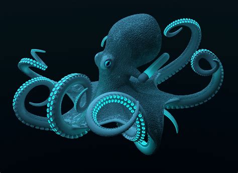 deep sea creatures by Sebastian Russ at Coroflot.com | Desenho de polvo ...