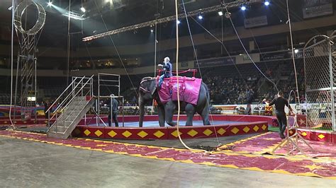 Shrine Circus provides fun for the entire family this weekend in Independence | FOX 4 Kansas ...