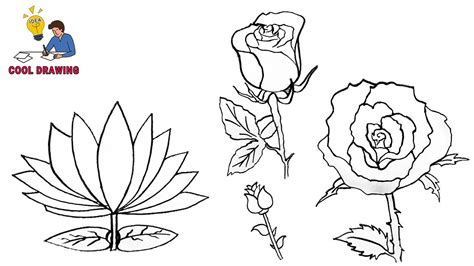 Easy Drawing Ideas Flowers Rose - docechas2