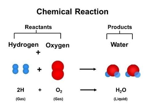 Reactants, Products, and Leftovers Study Guide - Inspirit Learning Inc