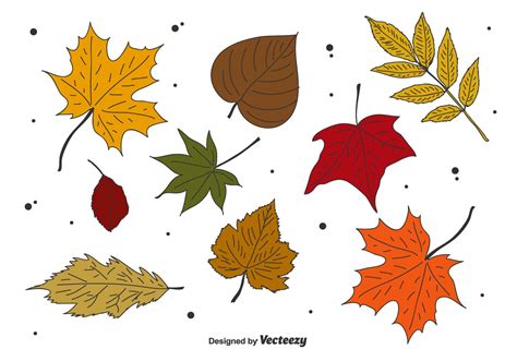 Autumn Leaves Vector Set 161511 Vector Art at Vecteezy