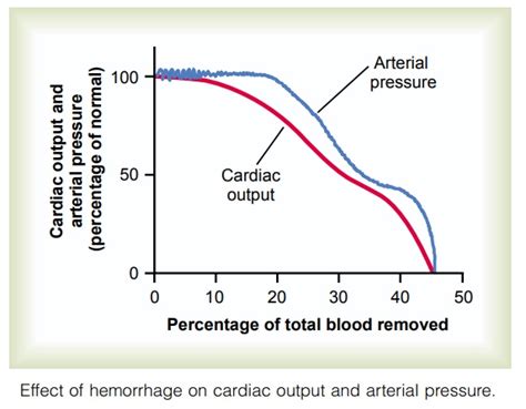 Relationship of Bleeding Volume to Cardiac Output and Arterial Pressure