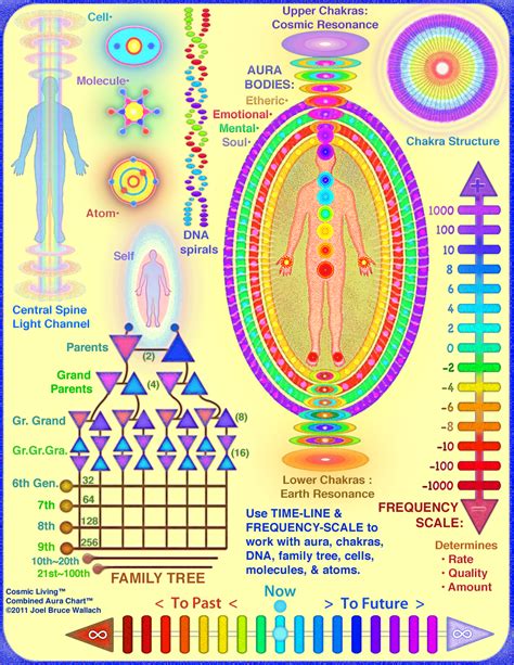 Image result for the human energy field | Spirituality, Chakra, Reiki ...