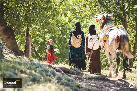 An Epic Journey to the World of Ancient Nomads - IRAN Nomad Tours