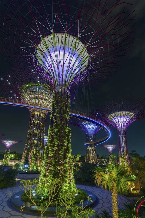 Gardens By The Bay Singapore - Beautiful Insanity