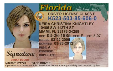 Florida Id Card Online - State Id Number On Id Card Ohio / Apply for a ...