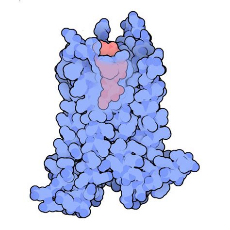 PDB-101: Learn: Structural Biology Highlights: A 2A Adenosine Receptor