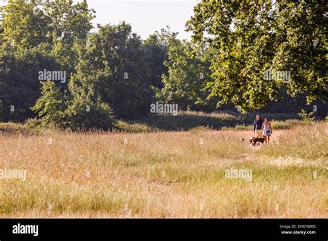 Forest Gate local area photography, London, UK, England Stock Photo - Alamy