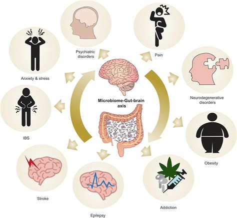 The Microbiota-Gut-Brain Axis | Physiological Reviews
