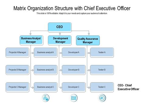 Matrix Organization Structure With Chief Executive Officer ...