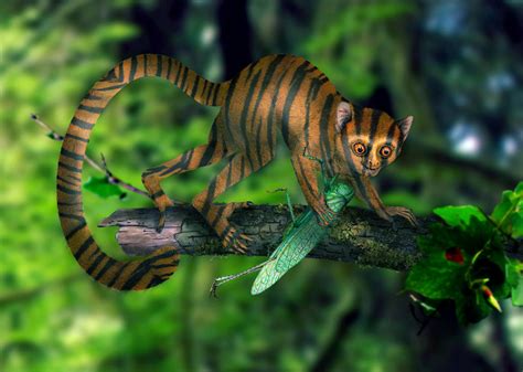 Tiger Monkey Hybrid by TheBinski on DeviantArt