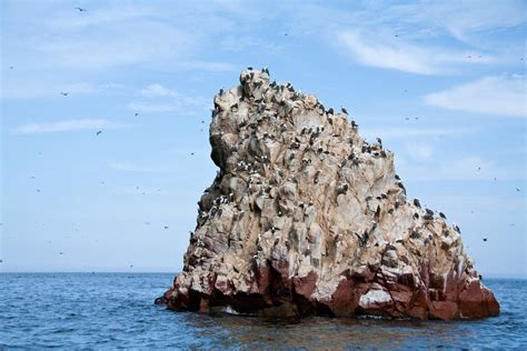 Paracas National Reserve | Smithsonian Photo Contest | Smithsonian Magazine